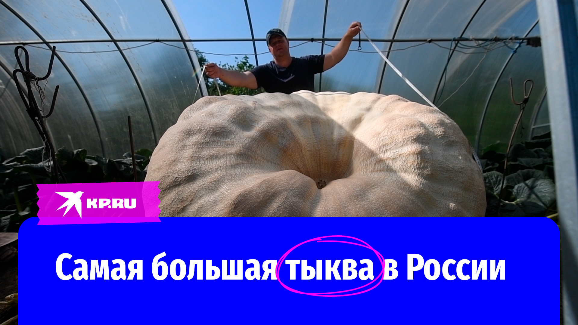Агроном-любитель Андрей Гусев знает все об овощах-гигантах. В этом году он вырастил на своем участке