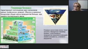 Анализ предметного дефицита по теме Экосистемы и присущие им закономерности