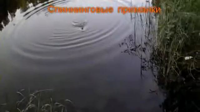 Игра поверхностного воблера Osprey Spirit LF175 смотреть онлайн