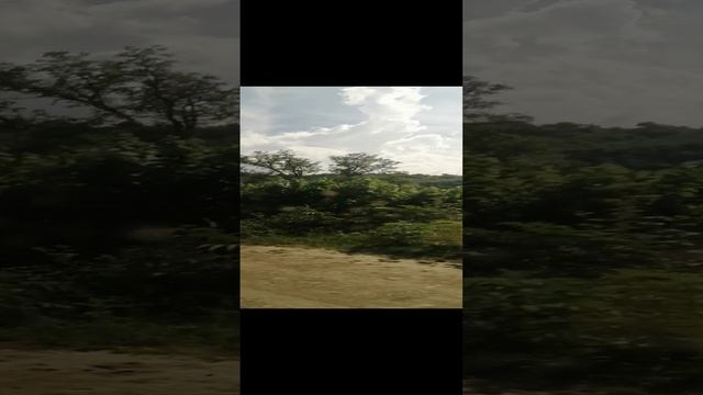 На что похожа облака, не обычные облака, красивые горы