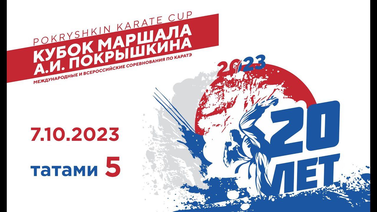 20-е Международные и всероссийские соревнования по каратэ «Кубок маршала А. И. Покрышкина». Татами 5 смотреть онлайн