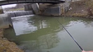 Испытание Piscifun Carbon X 500 после ТО.