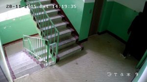 Видеонаблюдение на лестничной площадке