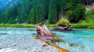 Пение птиц и Шум Горной Реки для Расслабления | Целительная музыка природы? | HD Relaxing Sounds |