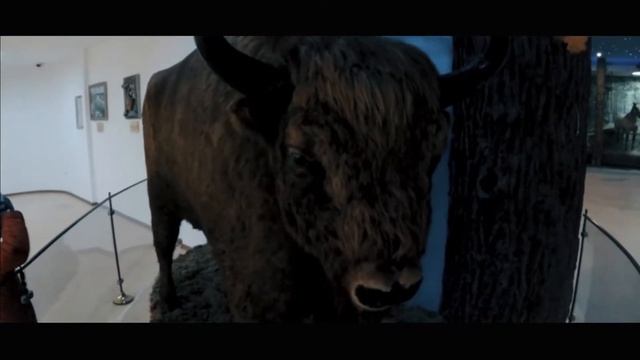 Усадьба Деда Мороза в Беловежской пуще | Поместье интересное, но есть одно НО смотреть онлайн