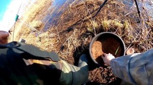 Выбрался на рыбалку. Очень красивое место. Волга.