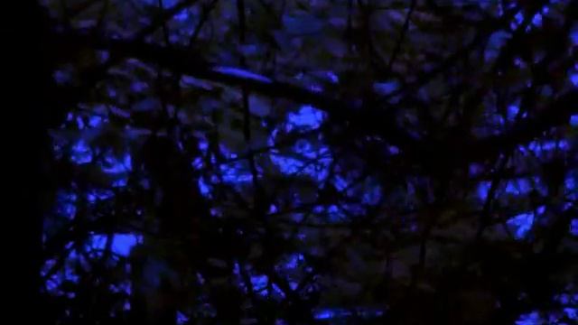 MR БЭНИШ - Всё нормально мам смотреть онлайн