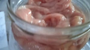 Свиная кишка, КАК СОХРАНИТЬ ГРЯЗНУЮ?...Бердянск Запорожская