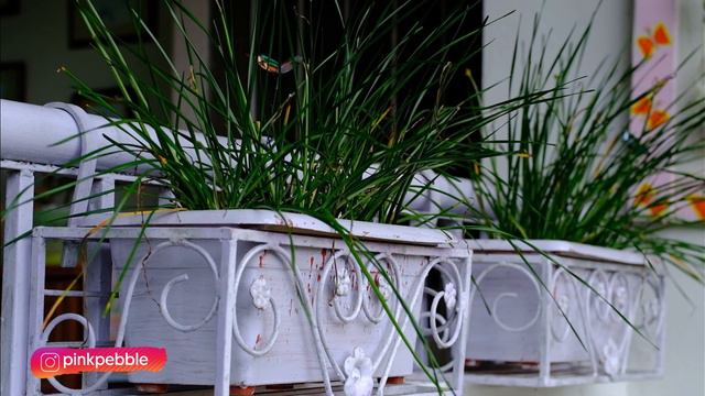Quick DIY and Recycle Garden Decor Ideas Low cost and simple Garden Decor - Part 1