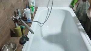 Груминг бигля