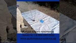 Как работает дальневосточная хапуга? Где купить эффективную рыболовную снасть?