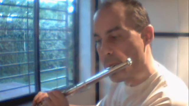 Telemann - Adagio from Concerto in D major for flute and strings смотреть онлайн