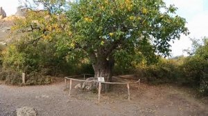 Долина привидений.mp4