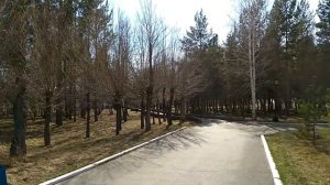 Дом отдыха "Березки" (Россия, Башкортостан)