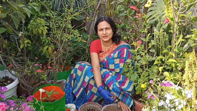 Easiest way to make tea leaf compost | Rashmi's world - create to decorate смотреть онлайн