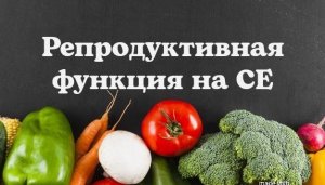 Репродуктивная функция на СЕ