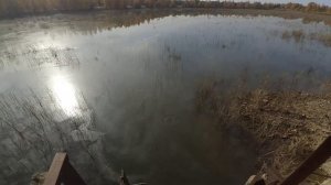 спускаем пруд . с погодой повезло и с рыбой тоже . Как спустить пруд.