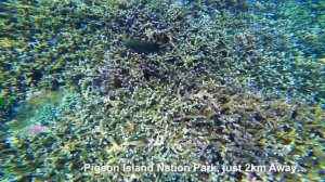 Nilaveli Beach Hotel 3*, Шри Ланка, Тринкомали,  ✈ обзор, отзывы