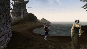 Прохождение The Elder Scrolls 3 Morrowind #1 Морровиндные вайбы начинаются !