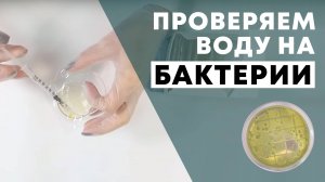 Как проверить минеральную или питьевую воду на бактерии?