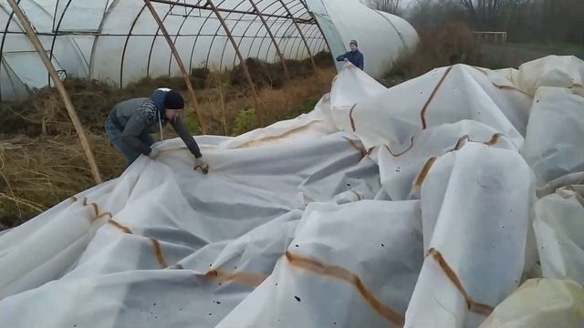 А СЕЙЧАС ВНИМАНИЕ ЛУЧШАЯ ДЕЗИНФЕКЦИЯ ТЕПЛИЦ - ОТКРЫВАЕМ ПЛЕНКУ. смотреть онлайн