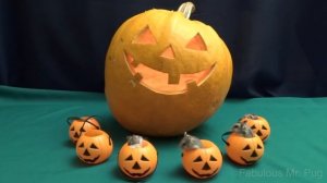 Hedgehogs and Hamsters and Chinchilla are Halloween Critters