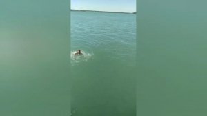 Рыбалка на Новотроицком водохранилище