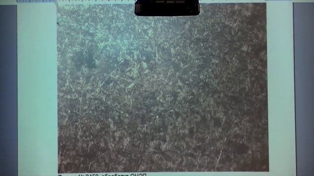 ТАЙНЫ НАУКИ: ТОРСИОННЫЕ ПОЛЯ И ИНФОРМ. ВЗАИМОДЕЙСТВИЯ. БТГ. Избранное: Шипов, Курапов, Солнечный