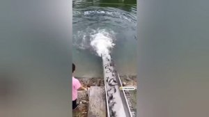 ТОП 20 приколов 2023