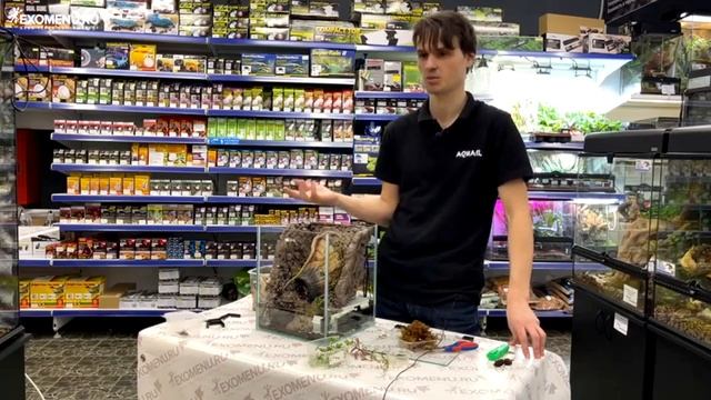 Мастер-класс с AQUAEL. Оформляем террариум для крабов ? смотреть онлайн