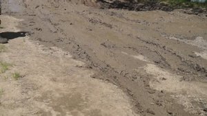 "Засадное место" Алт.край. "селезнёвская" протока....