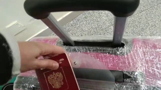 Домодедово аэропорт. Проходим ветеринарный контроль. Египет 2021. смотреть онлайн