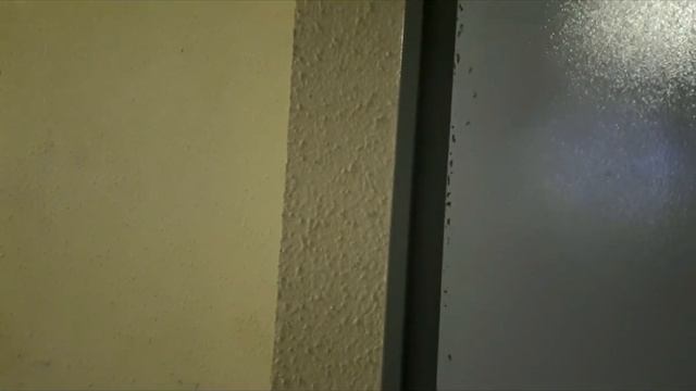 Питер Снег Мурино Лаврики смотреть онлайн