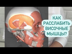 Как расслабить височные мышцы?