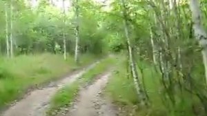 брыкин бор. рыбалка на пре.