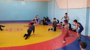 Играем "Волки и Овцы"