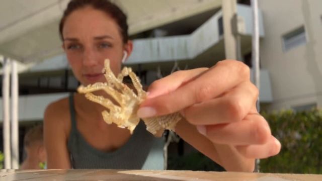 EB-3 гринкарта для всех! Кому доступен этот путь смотреть онлайн