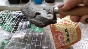 Выращивание камней в домашних условиях