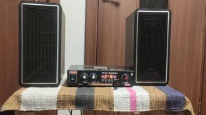 Колонки Электроника 311 и стерео усилитель G30