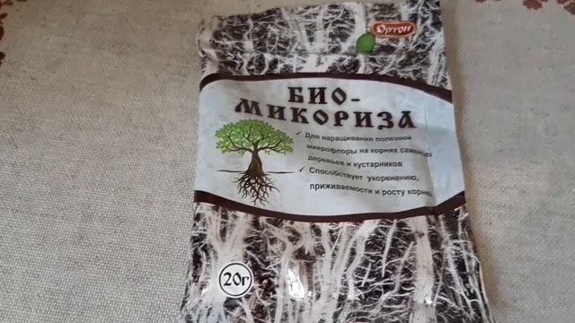 Моя печалька -- Рикки.Микориза для наших орхидей. смотреть онлайн