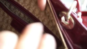 How to Spot a Fake Lady Dior Handbag Review My Christian Dior Bag