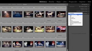 Curso online de Lightroom