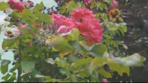 Лучшие песни года!2023!