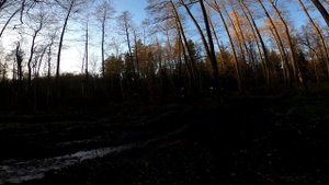 КВАДРОЦИКЛЫ YAMAHA ПРОТИВ POLARIS ЗАРУБА + BSE КРОСС В КОМАНДЕ