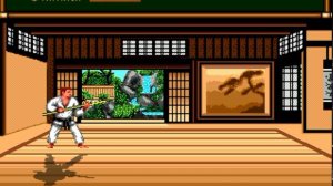 Budokan - The Martial Spirit