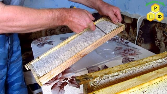 Вырезаю сотовый мёд из рамки