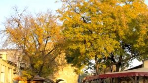 «Евпатория» группа "Семь"   Лучшая песня о Евпатории