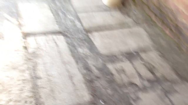 Аля Субару саундтрек смотреть онлайн