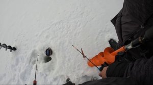 Ловим Судака. Засадил Снегоход.