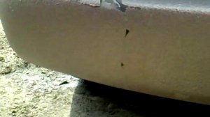 Раптор после года эксплуатации.